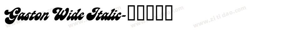 Gaston Wide Italic字体转换